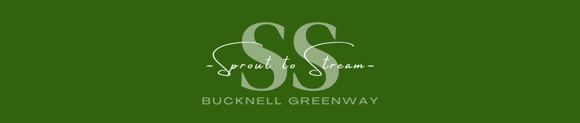 Sprout to Stream
